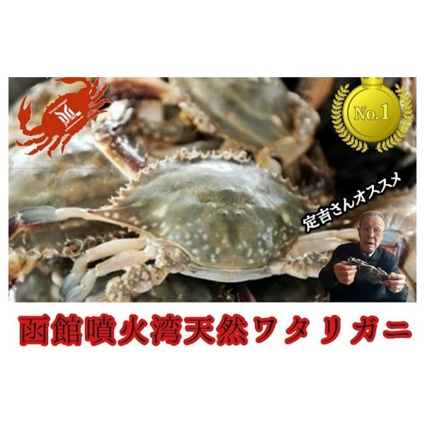 函館　噴火湾産　内子入り　ワタリガニ　メス　2杯　わたりがに　渡り蟹