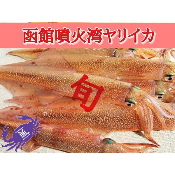北海道函館噴火湾産　ヤリイカ　　大　3杯