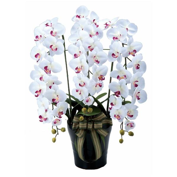 光触媒加工の高品質ロイヤル胡蝶蘭アートフラワー