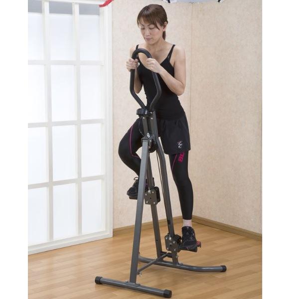 クライミングマシーン ダイエット器具 シェイプアップグッズ 日本初上陸 手と足と体幹を同時に鍛えます He-50152 ロッククライミ