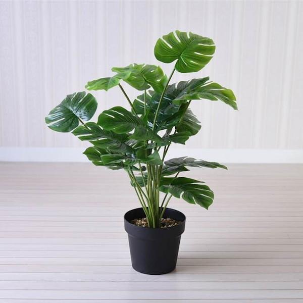 イングリッシュガーデン モンステラl クラシック インテリア雑貨 シンプル 観葉植物 グリーン モンテステラ 緑 アートグリーン 6027 バリュー家具 ゆとり生活研究所 通販 Yahoo ショッピング