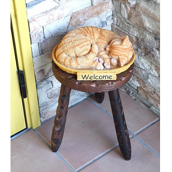 ＼レビューでプレゼント／ウェルカムキャット インテリア小物 置物 置物 完成品 まるで本物のようにリアル ランキング1位