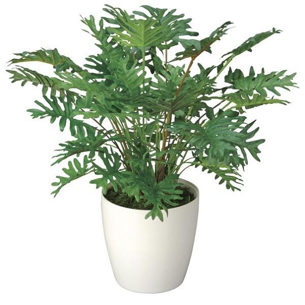 _r[Ńv[g^{ ̊yG}HA[g[t FL-1498 { A[gO[ lA t C 