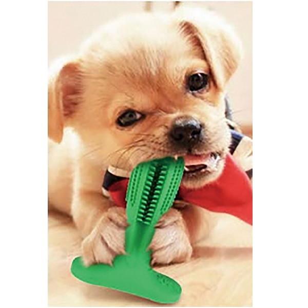 犬用品 お手入れ トリミング用品 デンタルケア用品 犬用歯ブラシ Fl 1525 歯ブラシ 犬用 デンタルケア 噛むだけ 歯垢除去 歯茎マッサージ 口臭 対策 虫歯対策 天 H バリュー家具 ゆとり生活研究所 通販 Yahoo ショッピング