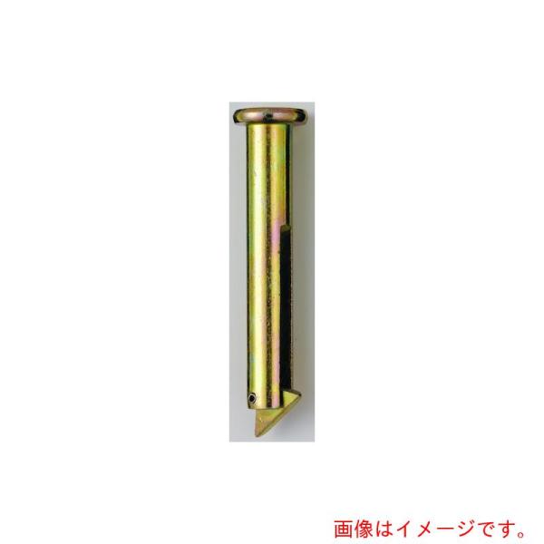 特長●サビ止め加工されてます仕様●色：ゴールド●パネルゲート用追加部品●※対応パネルキャスターゲート：Cゲート、Lゲート、Dゲート●※2mパネル：4個　3mパネル：6個　必要です。パネルと合わせてご注文ください。質量・質量単位●100.0g...