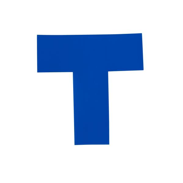 岩田製作所（iwata）　ラインプロＴタイプ（青）２枚入り　【品番：LPT5】