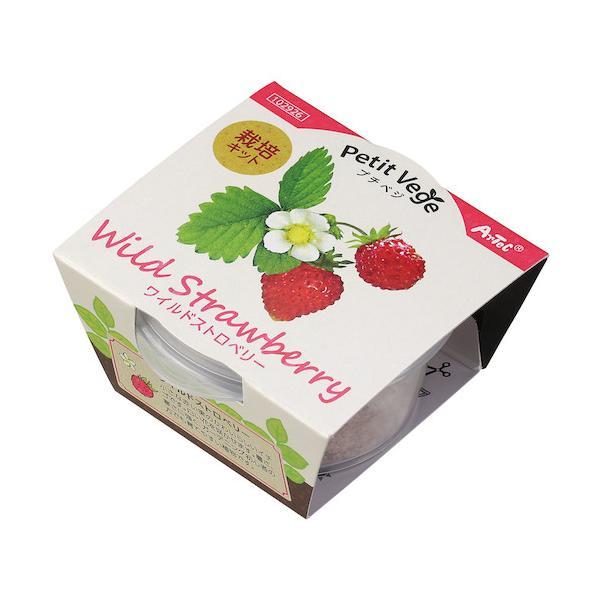 特長●初心者でも簡単に育てられるミニサイズの栽培キット仕様●商品サイズ：65x70x33mm●セット内容：プラ容器、圧縮土、種●1個重量（g）：18●材質：土、PP、種(ワイルドストロベリー)●製造国：種原産国：中国【メーカー名】（株）アー...