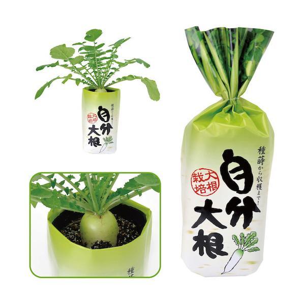 特長●ユニークな袋のパッケージを黒ポットのカバーとして使用し、見た目も楽しく育てます。仕様●商品サイズ：パッケージ(袋)：130×120×360mm●セット内容：外装×1、栽培容器×1、種×1、土×1、不織布×1、説明書×1●1個重量（g）...