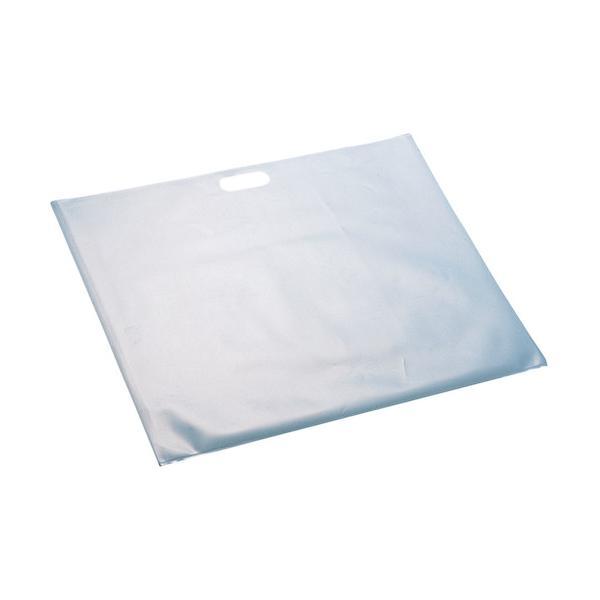 特長●4切画用紙や、B3サイズの用紙を折らずに入れられるサイズのビニールバッグです。●半透明なので中に入れたものを見えにくくしてくれます。●油性ペンなどで袋にデザインを施すこともできます。仕様●商品サイズ：560×450mm●セット内容：本...