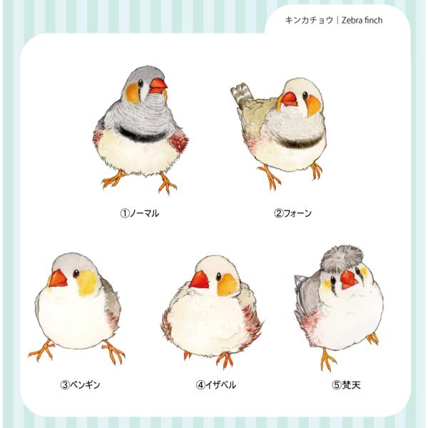 キンカチョウの防水ステッカー｜ミニサイズ : ゆとり屋 - 通販