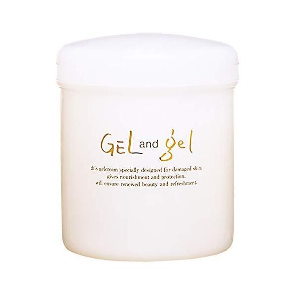 新 ・ 天然 ゲルアンドゲル S ゲルクリーム 500g レギュラー ゲル