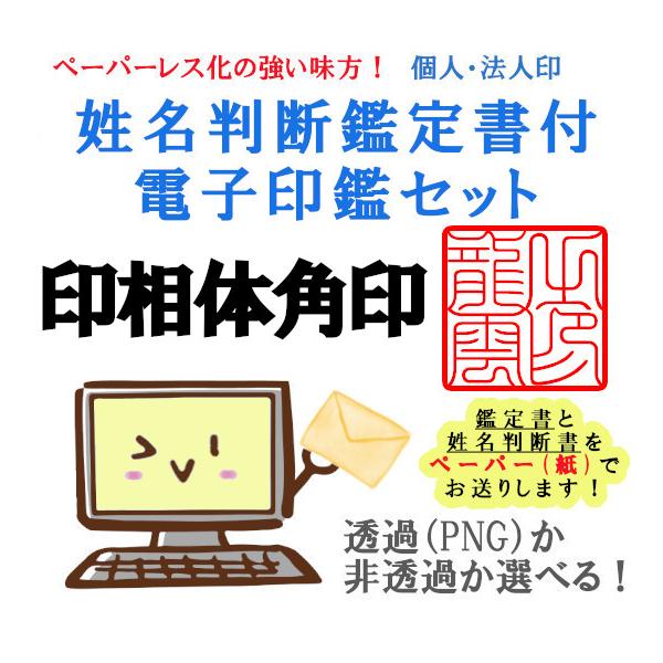 オーダー印鑑❤️龍雲式★姓名判断鑑定書付★マンモス印鑑セット❗15mm オーダー印鑑❤️龍雲式☆姓名判断鑑定書付☆マンモス印鑑セット