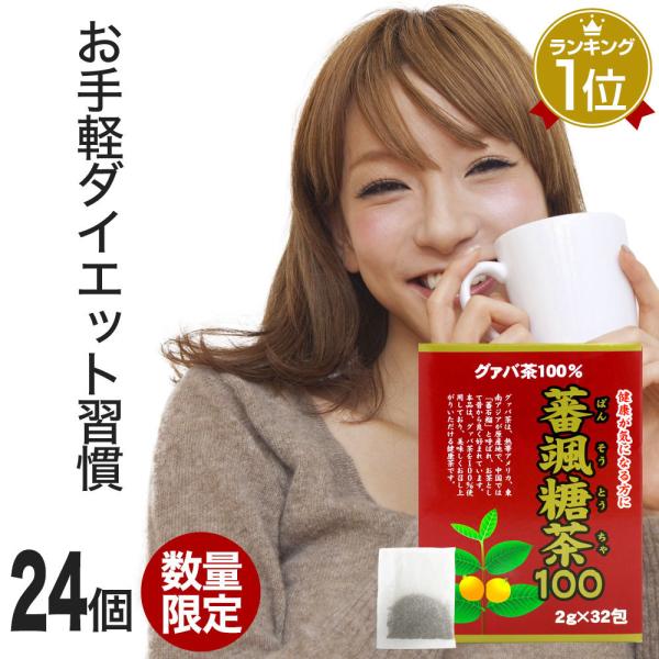訳あり グァバ グァバ茶 グアバ グアバ茶 ガバ茶 ガバちゃ 茶葉 アウトレット まとめ買い 2g 32包 24個セット 賞味期限21年8月以降 送料無料 宅配便 Buyee Buyee บร การต วกลางจากญ ป น ซ อจากประเทศญ ป น