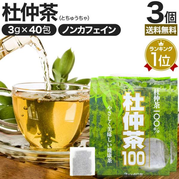 杜仲茶 とちゅう茶 茶葉 ティーパック ティーバッグ ダイエット ダイエット食品 3g*40包*3個セット 送料無料 宅配便