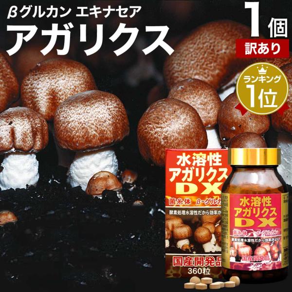 訳あり サプリ アガリクス アガリスク アガリスクサプリ βグルカン アウトレット 360粒 約30日分 賞味期限2026年10月以降 送料無料 宅配便