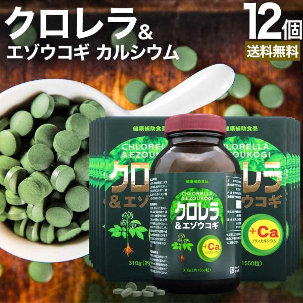 ■検索補助ワードエゾウコギ ウコギ カルシウムサプリ calcium ミネラルサプリ サプリメント 粒 男性 女性 カルシウムサプリメント CGF ミネラル ミネラルサプリメント 葉緑素 タブレット 野菜不足 野菜 不足 スーパーフード 鉄...