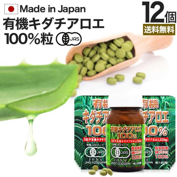 キダチアロエ 粒 サプリ サプリメント キダチアロエ粒 アロエ粒 オーガニック 国産 100% 約120粒*12個セット 約288〜360日分 送料無料 宅配便