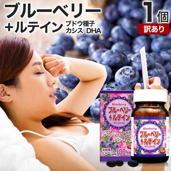 訳あり サプリ ルテイン ビルベリー ブルーベリー アントシアニン カシス エキス DHA アウトレット 60球 約30日分 賞味期限2026年12月のみ 送料無料 宅配便