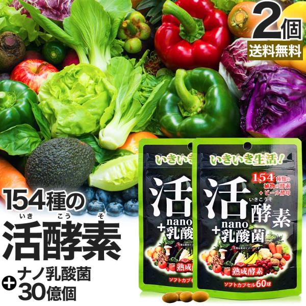 酵素 ナノ 乳酸菌 乳酸菌サプリメント 乳酸菌サプリ ビール酵母 食物繊維 菌活 腸活 サプリ 60球*2個セット 約40〜60日分 送料無料 メール便