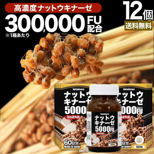 ナットウキナーゼ 納豆 納豆菌 納豆キナーゼ 玉葱 外皮 ケルセチン サプリ 120粒*12個セット 約720日分 送料無料 宅配便