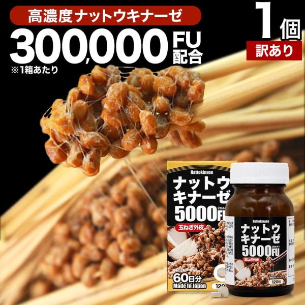 訳あり ナットウキナーゼ 納豆 納豆菌 納豆キナーゼ 玉葱 外皮 ケルセチン サプリ アウトレット 120粒 約60日分 賞味期限2029年1月のみ 送料無料 宅配便