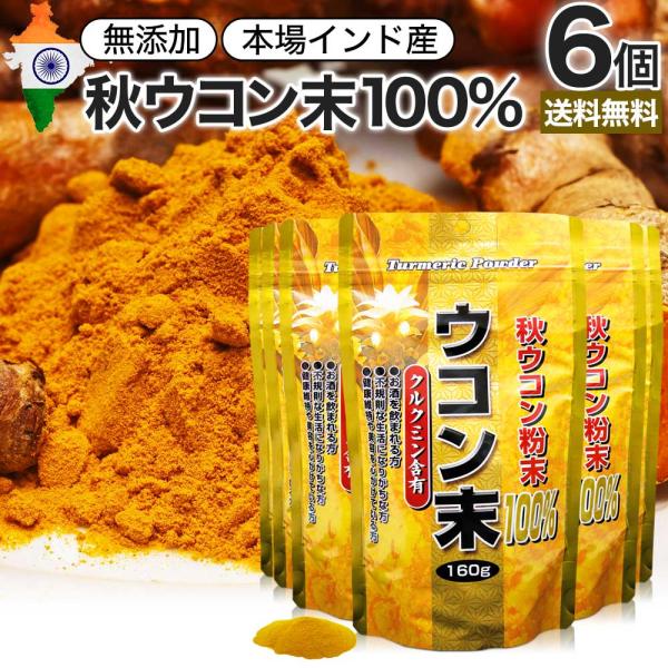 ■検索補助ワードターメリック ターメリックパウダー 食品 粉末 パウダー 顆粒 粉 100% 無添加 男性 女性 飲みやすい 補給 ウコン粉 クーポン対象 クーポン利用で クーポンで クーポン配布 クーポン配布中 クーポン割引あり クーポン...