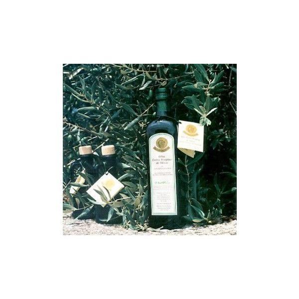 炵ڂ蕗Zp`̌WoiƂ̃I`Tj[^I[uICTOO@L@JASu_EYv