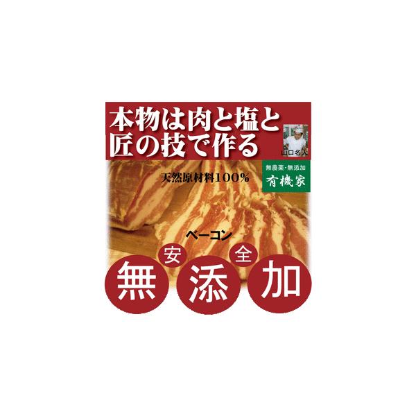 Yx[R Zō{hCcx[R180gȏ T߃^CvEYsgpERޗ100