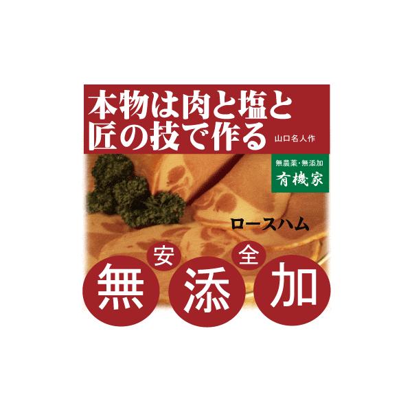 Y[Xn PPEe180gȏuYsgpERޗ100v ZōhCc[Xn  N[֔z