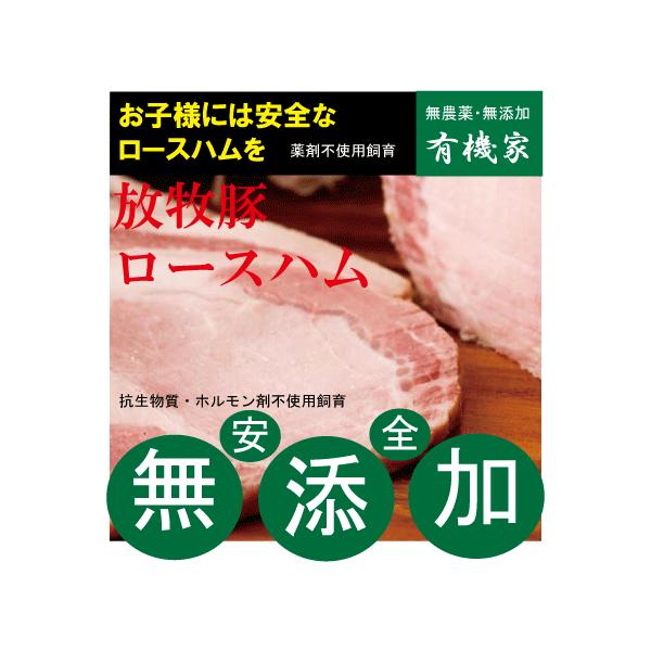 Y[XnubN300EⓀz@REzܕsgp@Rq؎gp@kCWË_t@[@H1.5%O