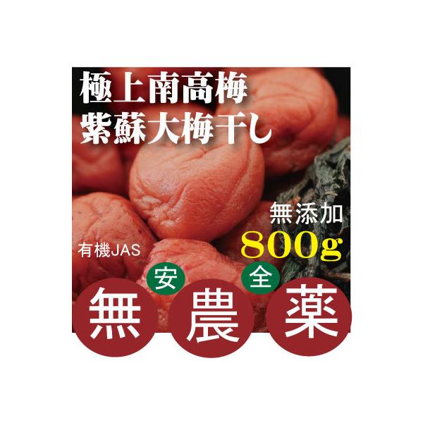 ɏ썂~~h~800@L@JASu_EYv@1܂ŃRpNg։@ޗǌF_@ZxF18?20%