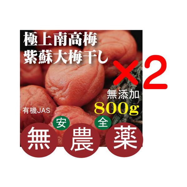 ɏ썂~~h~   800×2@uz v@L@JASu_EYv @ޗǌF_@ZxF18`20%