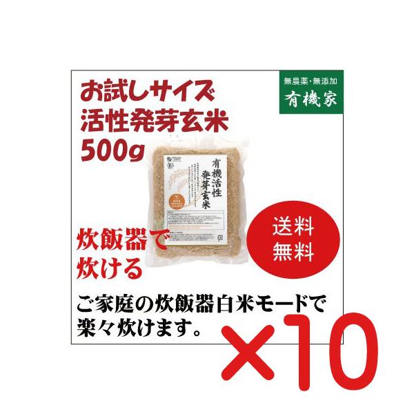 �������茺�āu���v500��×10��   �L�@JAS�u���_��E���Y���v�@�}�N���r�I�e�B�b�N�H�i�@�I�[�K�j�b�N