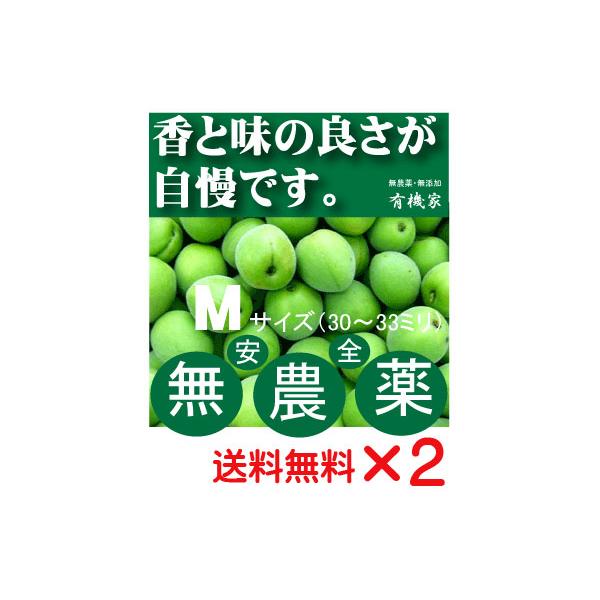 無農薬青梅 Ｍサイズ「約30ミリから33ミリ」「１ｋｇ×２個 」国内産100％ 6月中旬頃発送　有機JAS「無農薬・無添加」