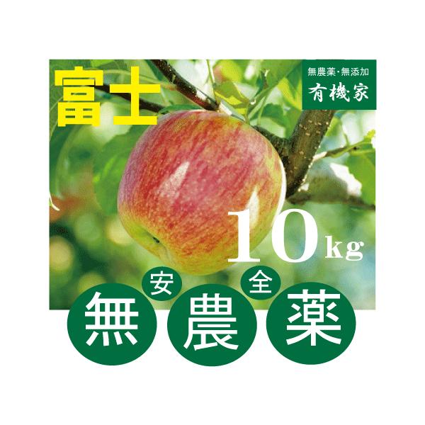 Sxm _͔|̂ PO@40O _͔|EXut_v@bNXsgp