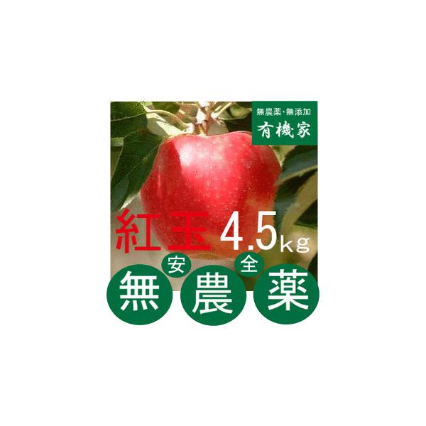 Sg _͔|̂񂲂SDT` T PO{ Jn@yŁE܁Ew_Ew엿sgp