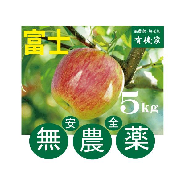 Sxm _͔|̂ T@20O@_͔|EXut_v@bNXsgp 12{Jn