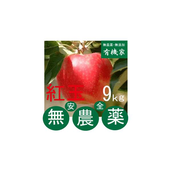 _񂲁ugʁv9K`10kg 36`50O  eqQ㖳_͔|EXut_v  yŁE܁Ew_Ew엿sgp PO{Jn