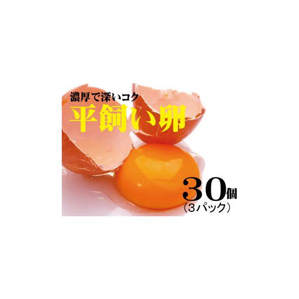 ●保存方法：商品到着後、必ず冷蔵庫（0〜10℃以下）で保存してください。●使用方法：記載されている賞味期限は生食用の賞味期限です。 生食の場合は賞味期限内に使用し、賞味期限経過後は及び卵にひびが入っている場合は十分加熱調理してください。●ト...