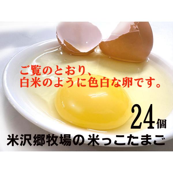 ◎平飼い米っこたまご（6個入）2パック◎賞味期限：産卵日から常温14日◎産地：山形県高畠町「米沢郷牧場」◎鶏の品種は国産品種、「ゴトウもみじ」。餌に、地域のお米（飼料米）を３５％、国産のお米の米ぬかを１５％使用し、その他ポストハーベストフリ...