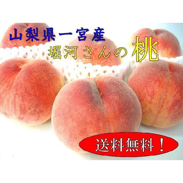 山梨県直送 ネクタリン2.5kg クール便送料込 - 通販 - guianegro.com.br