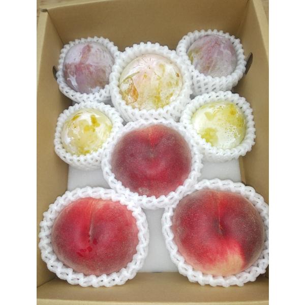 山梨完熟フルーツ詰合わせ（桃・プラム）　1.5kgギフト箱　7月末から8月中旬頃