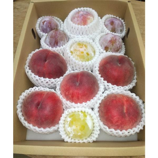 山梨完熟フルーツ詰合わせ（桃・プラム）　2.5kgギフト箱　7月下旬から8月中旬頃