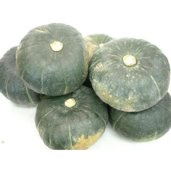 有機栽培 北海道産 かぼちゃ くり将軍 10kg箱 4 9玉入 4607 有機農産物直売所 ヤフー店 通販 Yahoo ショッピング