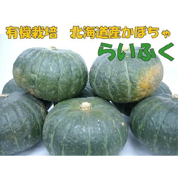 北海道産かぼちゃ 来福 10kg箱 有機栽培 4632 有機農産物直売所 ヤフー店 通販 Yahoo ショッピング