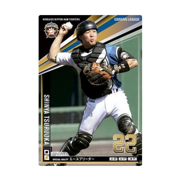 I[i[Y[O 2013 01 OL13-080F߉ T(OCg)kC{nt@C^[Y o_C lbgJ[h_X