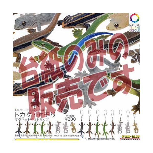 y񔄕ifBXvC䎆zlC`[eNjJ[MONO gJQE }Olbg×Xgbv o_C K`|KV|