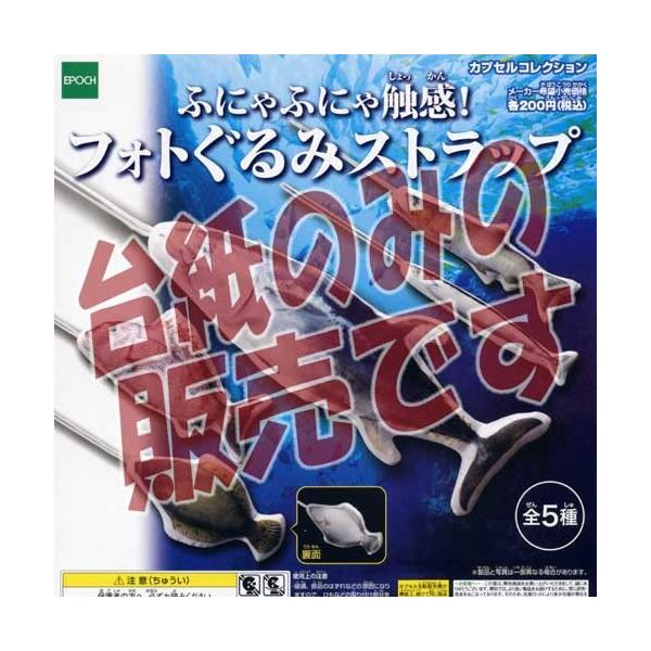 y񔄕ifBXvC䎆zӂɂӂɂGItHg݃Xgbv G|bN(donbg)K`|KV|