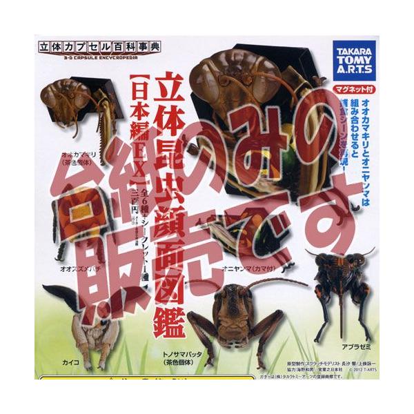 y񔄕ifBXvC䎆z̃JvZSȎT ̍ʐ} {EX ^Jg~[A[c K`|