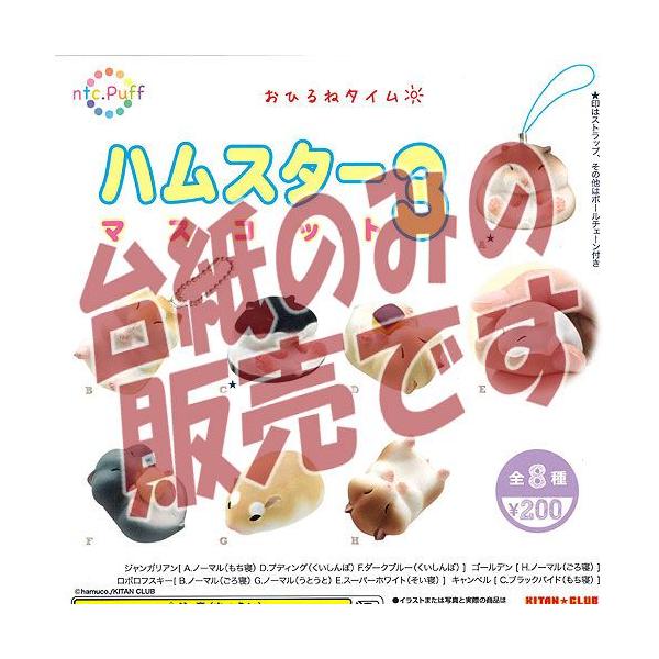 y񔄕ifBXvC䎆zntc.Puff nX^[ }XRbg3 Ђ˃^C 权Nu K`|